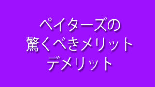 ペイターズ,メリット,デメリット